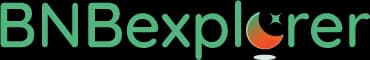BNBexplorer logo