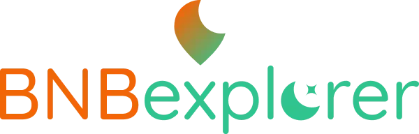 BNBexplorer logo